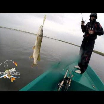 Ролик о рыбалке в Астрахани